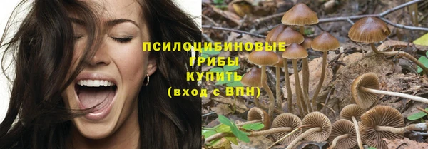 прущие крисы Вуктыл